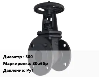 Задвижка чугунная канализационная 300 30ч6бр Ру1